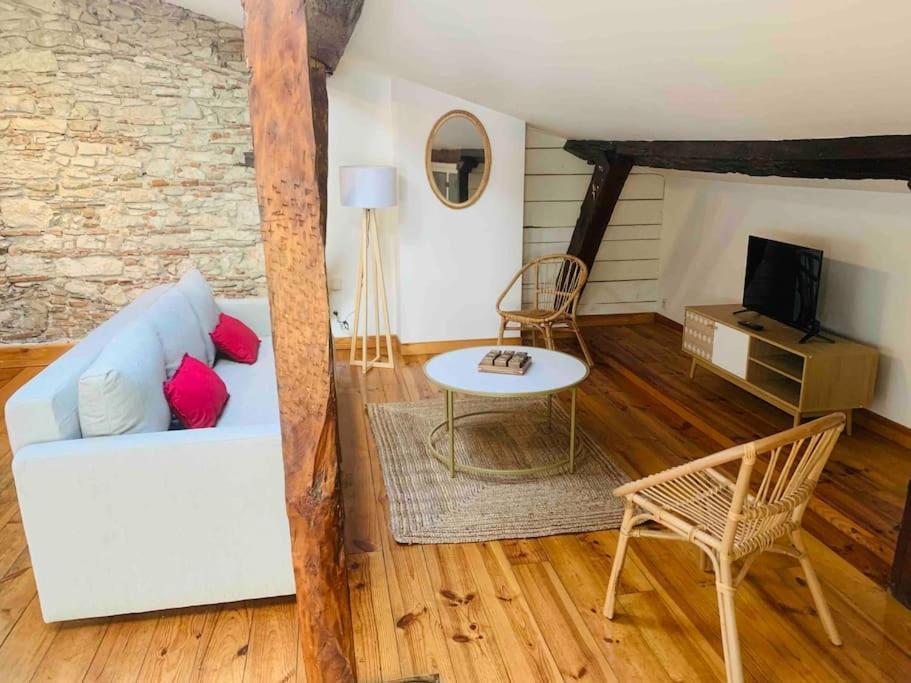 Spacieux Appartement En Plein Coeur De Castres Καστρ Εξωτερικό φωτογραφία