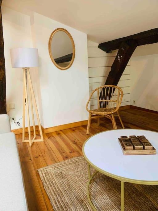 Spacieux Appartement En Plein Coeur De Castres Καστρ Εξωτερικό φωτογραφία