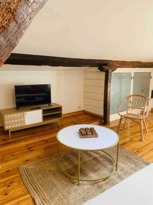 Spacieux Appartement En Plein Coeur De Castres Καστρ Εξωτερικό φωτογραφία