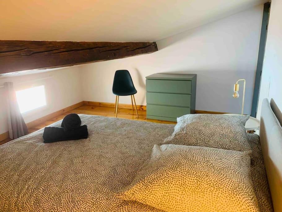 Spacieux Appartement En Plein Coeur De Castres Καστρ Εξωτερικό φωτογραφία