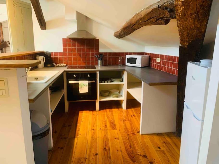 Spacieux Appartement En Plein Coeur De Castres Καστρ Εξωτερικό φωτογραφία