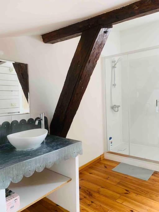 Spacieux Appartement En Plein Coeur De Castres Καστρ Εξωτερικό φωτογραφία